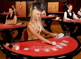 Blackjack Casino Dealer