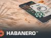 Habanero Headed for Lithuanian Expansion with 7bet Deal