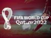 Complete Coverage of the 2022 FIFA World Cup from Qatar - 12 / 14 / 2022